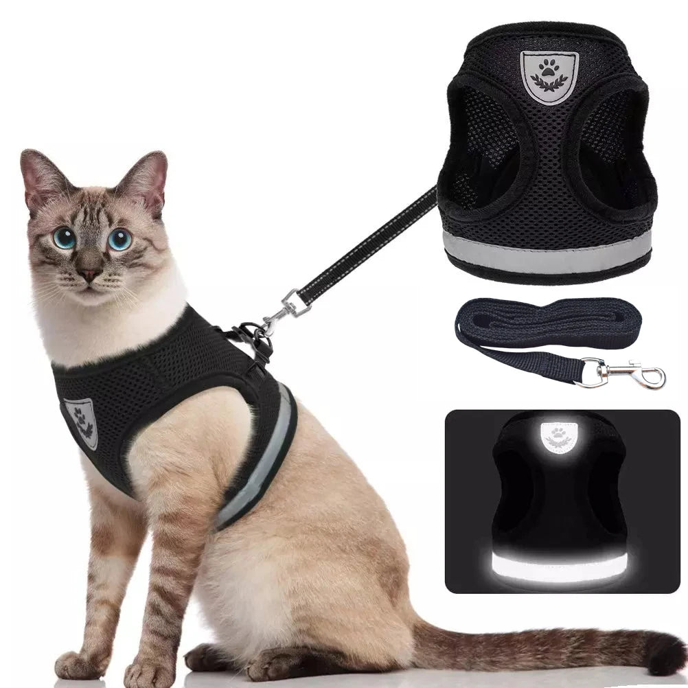 Kitty  Comfort Leash