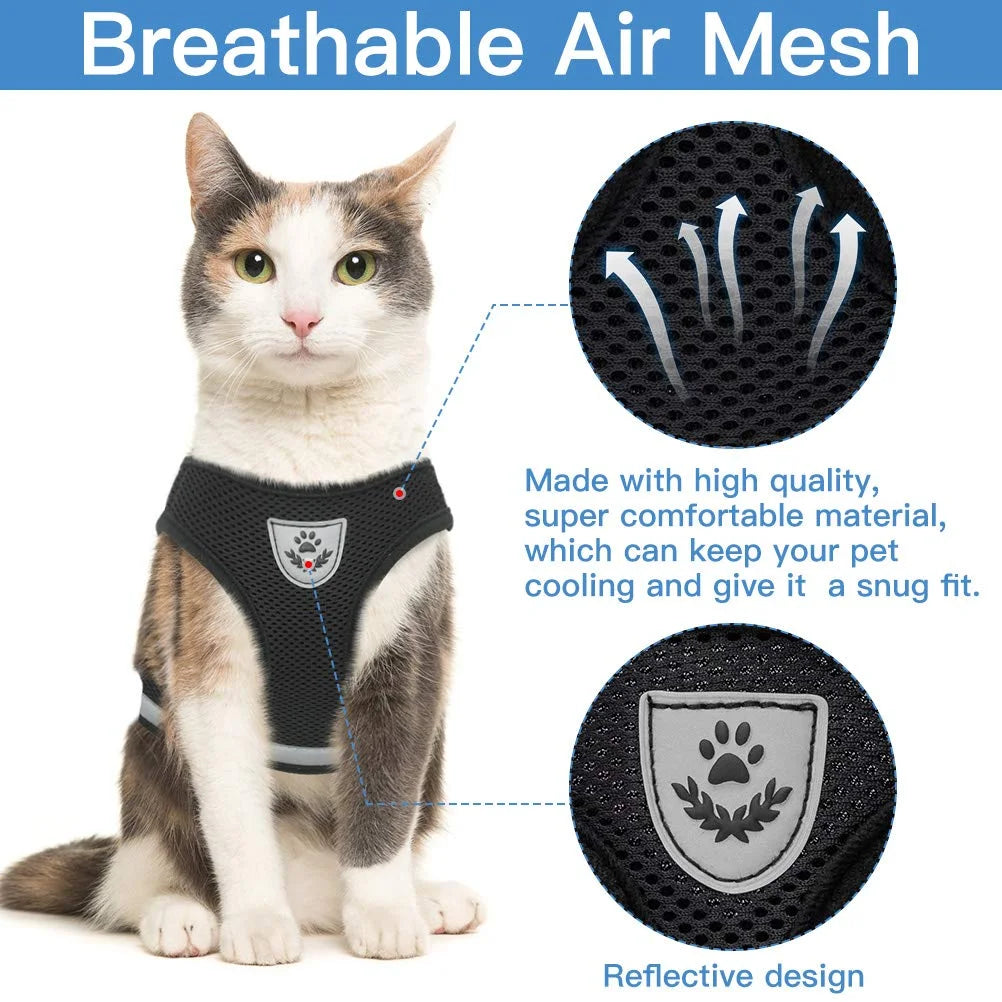 Kitty  Comfort Leash