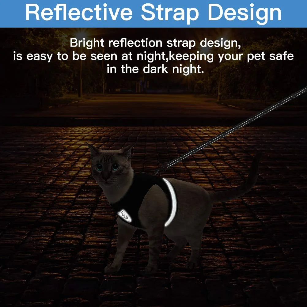 Kitty  Comfort Leash