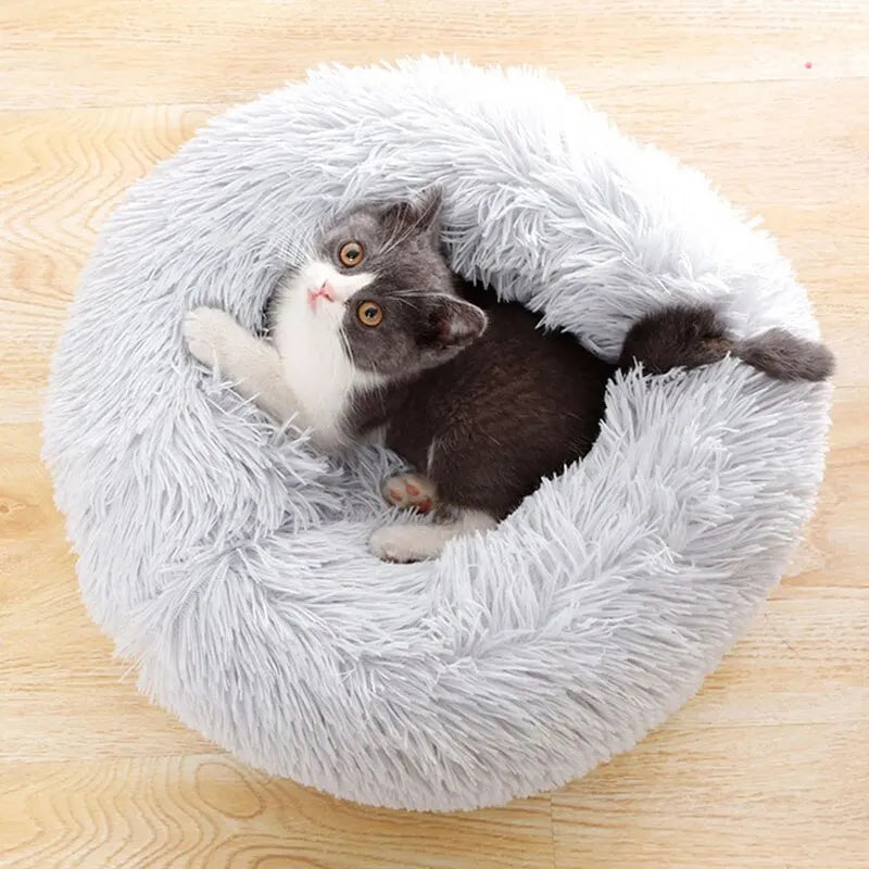 Kitty Comfort Bed