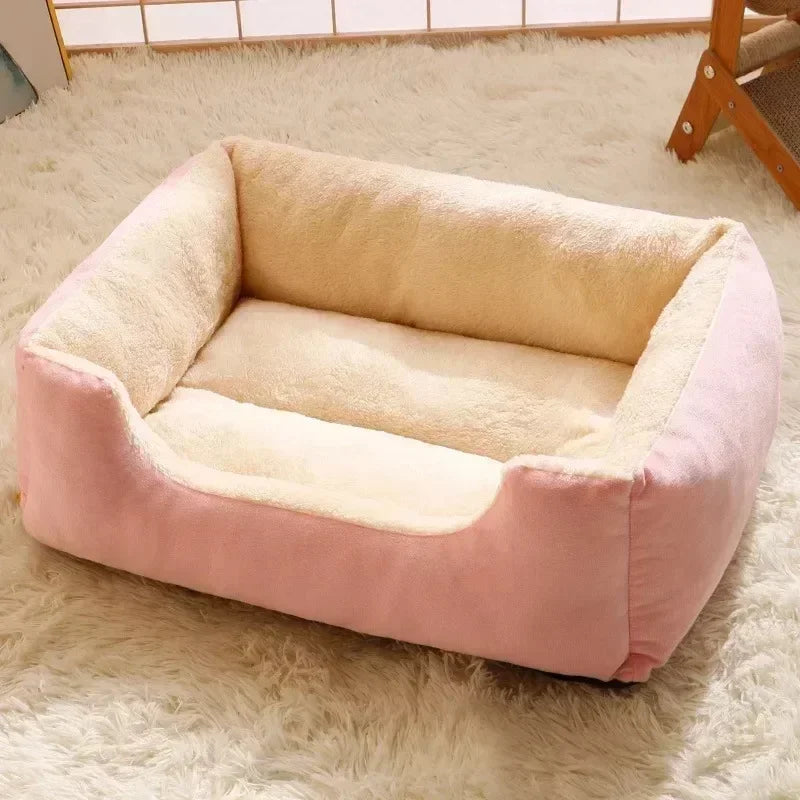 Kitty Cove Bed